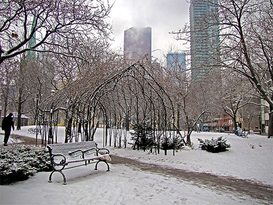 snow, st. james park, cathedral, toronto, city, life, blog