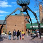 Random image: distillery-spider-1024