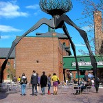 Random image: like giant spider droppings