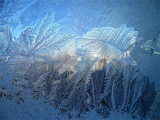 frozen window